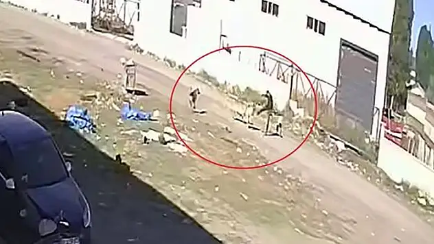 Sokak köpeklerinin saldırısından 'karate hareketleri' ile kurtuldu

