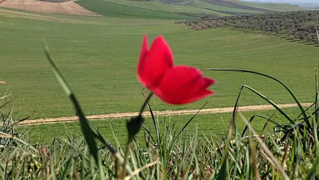 Son cemre toprağa düştü