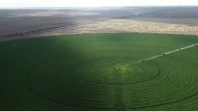 Son yağışlar Konya Ovası'na can suyu olacak
