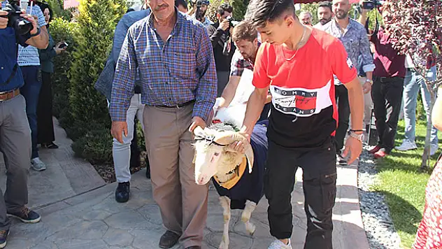 Sosyal medya fenomeni koç Alex, dünya evine girdi