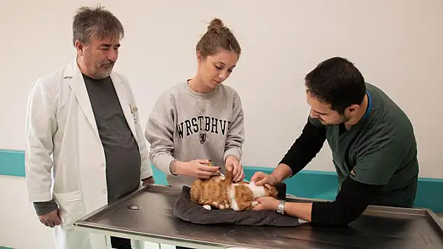 SÜ Küçük Hayvan Hastanesi, 20 bin 250 can dosta şifa oldu

