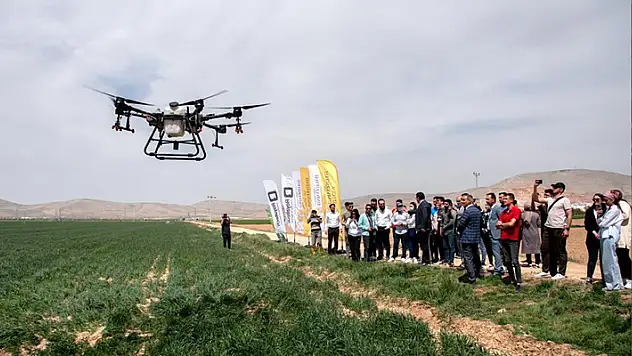 SÜ Ziraat Fakültesi çiftliğinde drone ile ilaçlama yapıldı
