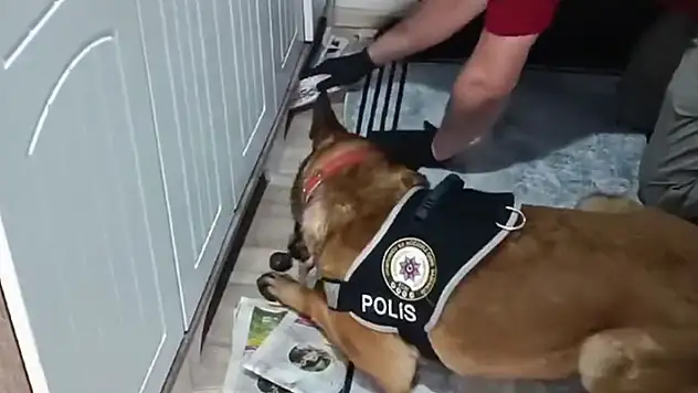 Suç örgütüne yönelik 'Kuyu-10' operasyonunda 11 şüpheli yakalandı
