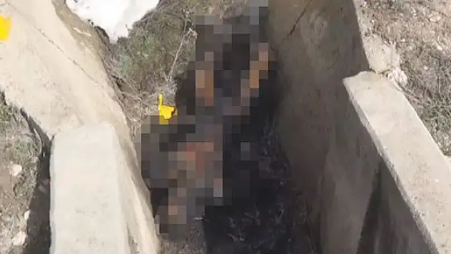 Sulama Kanalında Yanmış Erkek Cesedi Bulundu