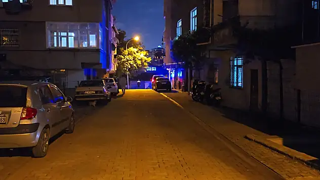 Sultanbeyli'de hafif ticari aracın üzerinden geçtiği 4 yaşındaki çocuk hayatını kaybetti