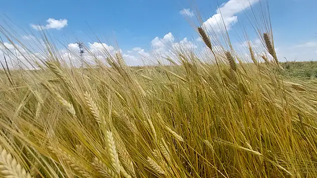 Sürdürülebilir Arazi Yönetimi ile tarımsal verim artırılıyor
