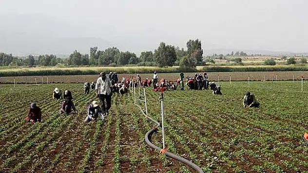 Suriyelilerin çadırlardaki zorlu yaşamı