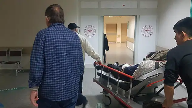Sürüyü otlatırken ayı saldırısına uğrayan 2 kişi ölümden döndü
