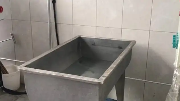Süt banyosu görüntüleriyle ilgili 2 çalışan gözaltına alındı