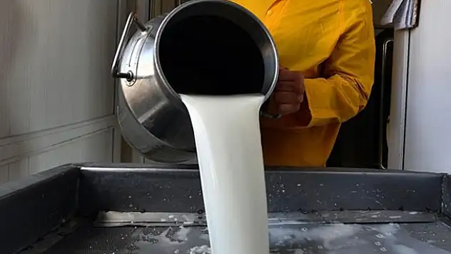 Süt desteği ile ilgili yeni gelişme! Ödemeler bankaya...