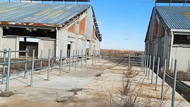 Süt sığırcılığı tesisinden hırsızlığa 3 tutuklama