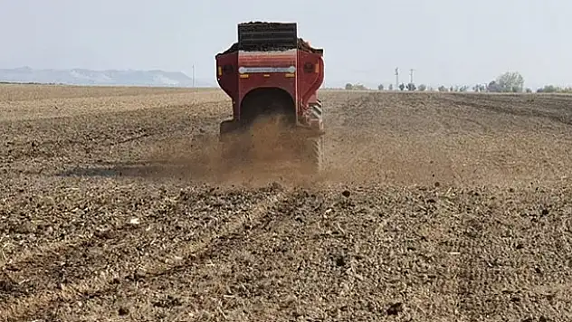 Tahıl ambarı Konya'da buğday tarlaları yeşermiyor