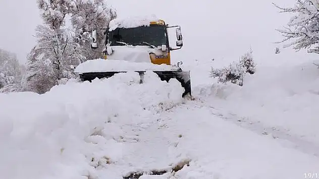 Tahıl ambarı Konya'da yağışlar yüz güldürdü!
