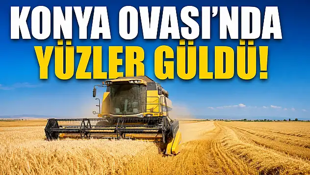Tahıl ambarı Konya'dan sevindiren haber