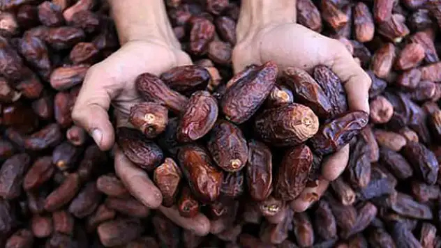 Talebe yetişilmiyor! Kilosu 130 TL'ye kadar çıktı