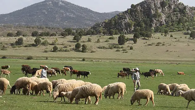 Tam kapanmada Konya'daki besiciler ve çobanlar yaylalarda mesaide