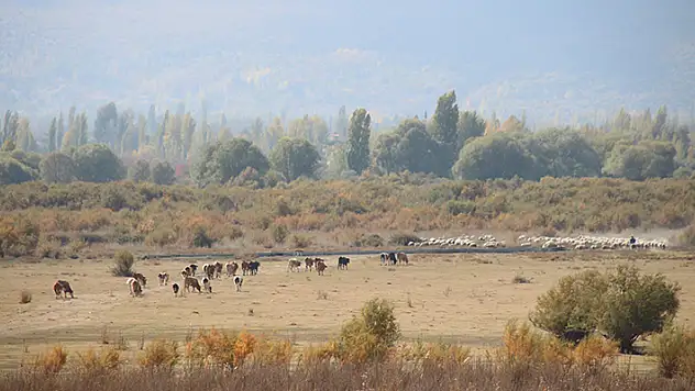 Tamamen kuruyan Akşehir Gölü'nün tabanında su bulundu
