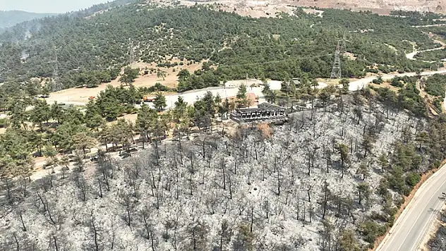 Tarihinin en büyük Gürsu yangınından yürek burkan bu manzaralar kaldı