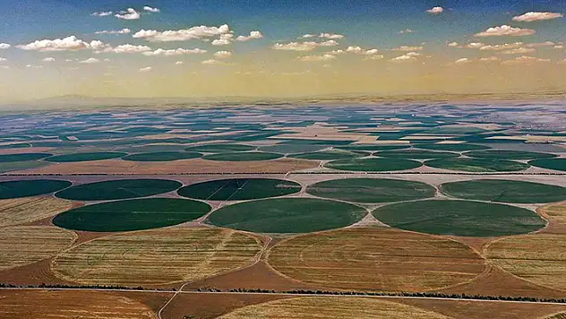 Tarım arazisinde Konya, çiftçi sayısında Ordu zirvede
