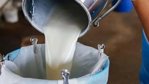 Tarım Bakanından çiftçiye müjde! Destek ödemeleri bugün başlıyor