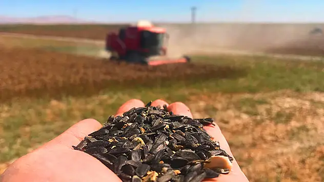 Tarım başkenti Konya, 11 üründe üretim miktarı olarak Türkiye'de birinci
