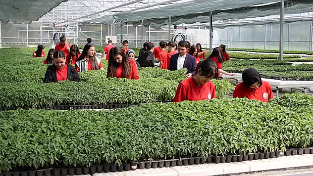 Tarım eğitimini teoriden seraya taşıyan lise öğrencileri 1 milyon fide üretimi hedefliyor
