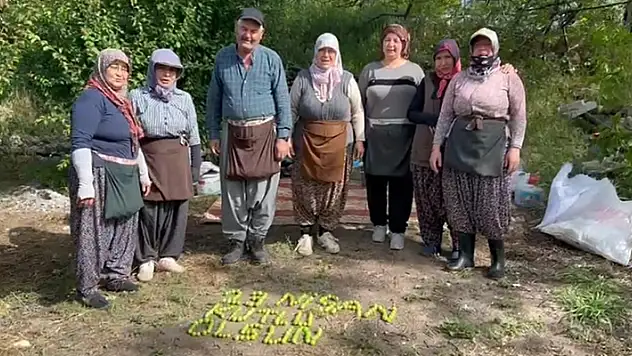 Tarım işçileri 23 Nisan'ı erik hasadı yaparken kutladılar

