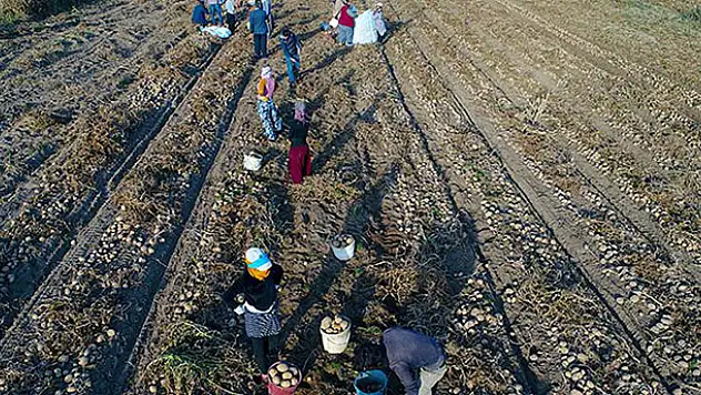 Tarım işçisinin günlük ücreti arttı