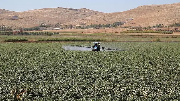 Tarım Kredi'den üreticiye borç yapılandırması
