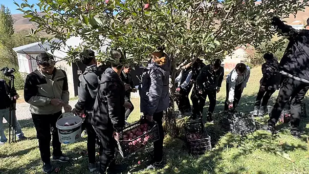 Tarım öğrencileri elma hasadı gerçekleştirdi