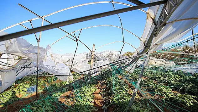Tarım sigortaları kapsamında eylülde üreticilere 3,15 milyar lira hasar tazminatı ödendi