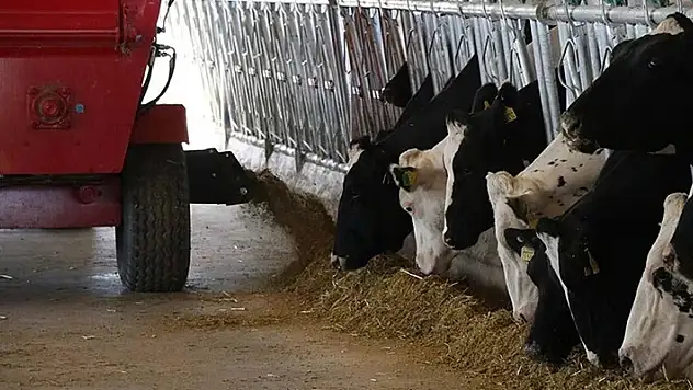 Tarım ve Orman Bakanı Kirişci'den düve alım desteği açıklaması
