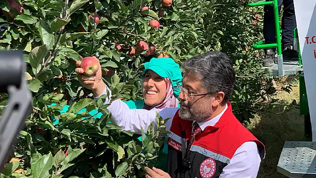 Tarım ve Orman Bakanı Yumaklı, Karaman'da elma hasadı yaptı
