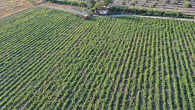 Tarım ve Orman Bakanlığı bireysel sulama sistemi yatırımlarına destek verecek