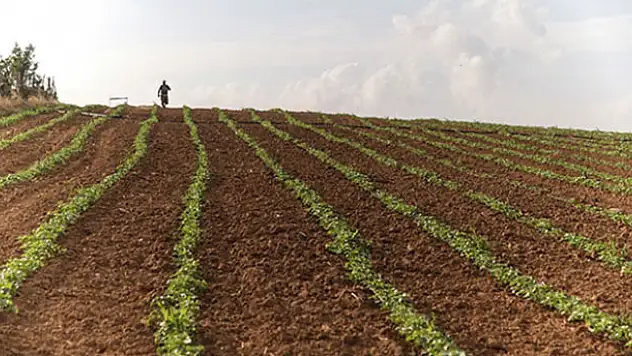 Tarıma dayalı yatırım projeleri için süre uzatıldı