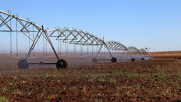Tarımda 477 AR-GE projesine 118,6 milyon lira destek sağlandı
