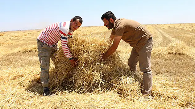 Tarımda bilinçsiz yapılan ilaçlama çiftçiyi perişan ediyor