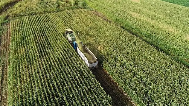 Tarımsal destekleme ödemeleri bugün çiftçilerin hesaplarına aktarılıyor
