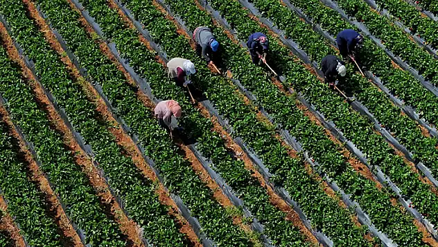Tarımsal girdi fiyat endeksi martta yıllık yüzde 29,73, aylık yüzde 1,8 arttı