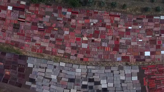 Tarlada milyonluk halı nöbeti: Güneş batınca başlıyor, doğunca bitiriyorlar