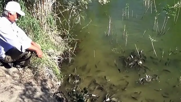 Tarlasına yaptığı gölette balık yetiştiriyor