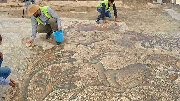 Tarlasında 84 metrekarelik taban mozaiği buldu Vali Hatipoğlu'ndan inceleme

