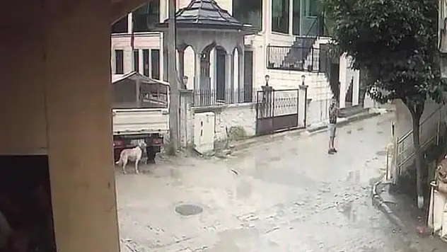 Tartışma sonrası pompalı tüfekle rastgele çevreye ateş açtı 2 gözaltı
