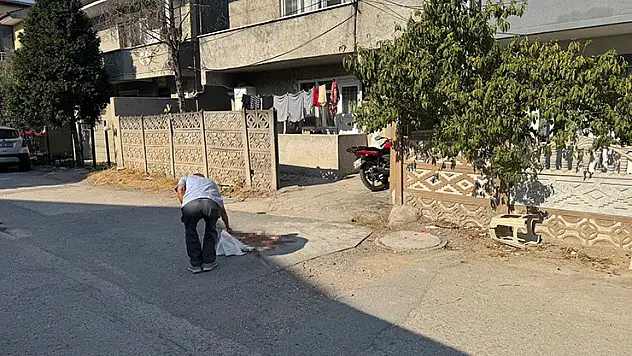 Tartıştığı babasını pompalı tüfekle vurarak öldürmüştü, tutuklandı
