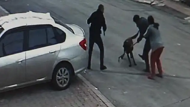 Tasmalı köpek dehşet saçtı, 2'si çocuk 4 kişiyi yaraladı
