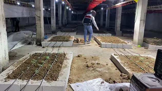 Tavuk çiftliğine uyuşturucu operasyonu: 1 şüpheli tutuklandı

