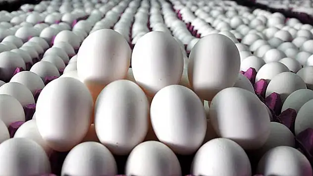 Tavuk ve yumurta ihracatı 1 milyar dolara yaklaştı