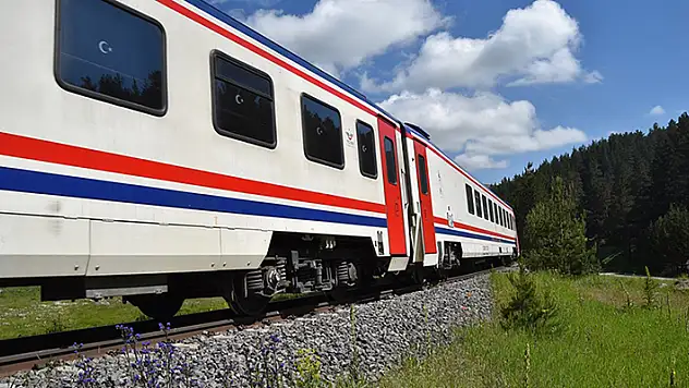 TCDD, otla mücadele kapsamında tren yollarında ilaçlama yapacak
