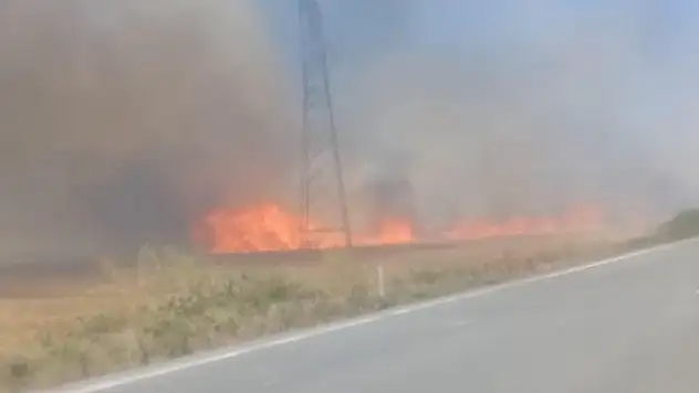 Tekirdağ'da 180 dönüm ekili buğday yandı 3 kişi dumandan etkilendi
