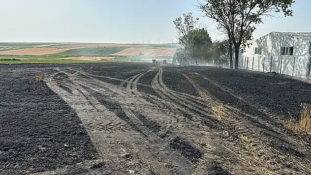 Tekirdağ'da 20 dönüm ekili buğday, yangında zarar gördü
